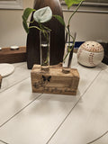 Ambrosia Maple 2-Hole Propagation Station – Modern Plant Propagation Tube Holder (1' x 6' Glass Tubes) engraved with stunning artwork